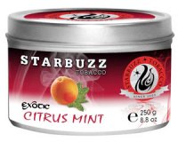 Chocolate Strawberry Starbuzz Shisha